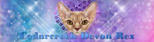 CedarCreek Devon Rex